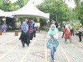 Tn DSC 7743